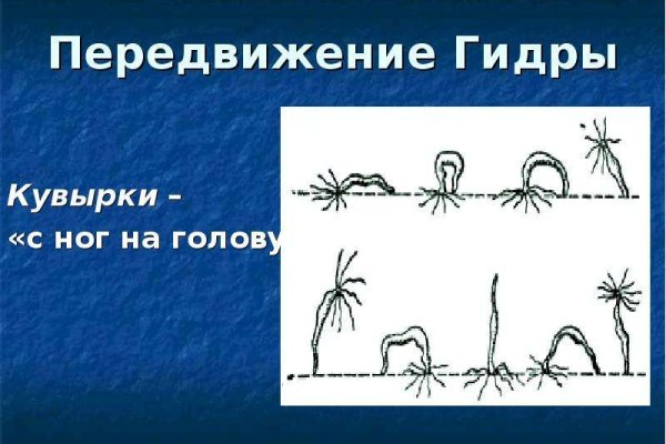 Kraken гидра