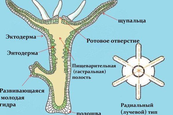 Kraken даркнет рынок