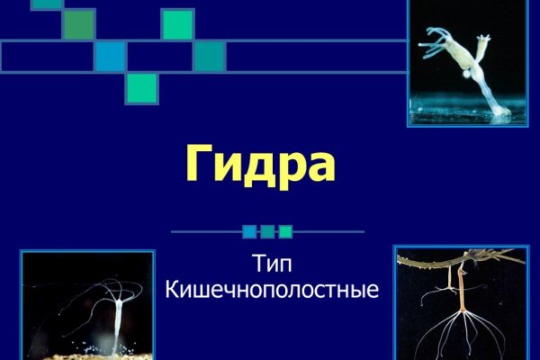Как попасть на кракен