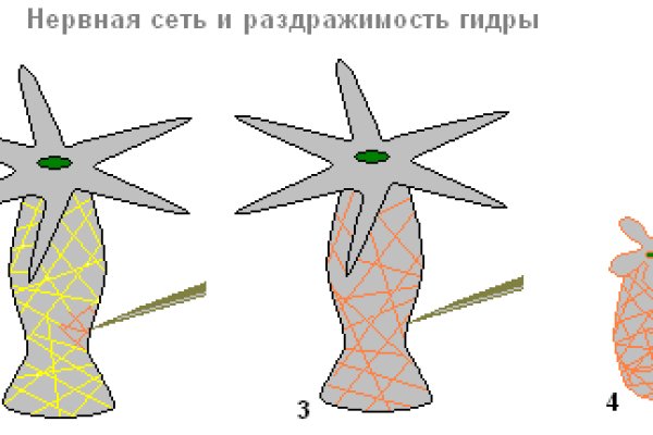Маркет плейс кракен маркетплейс