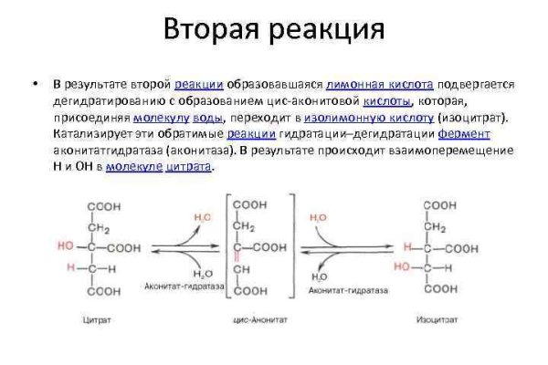 Кракен ат сайт