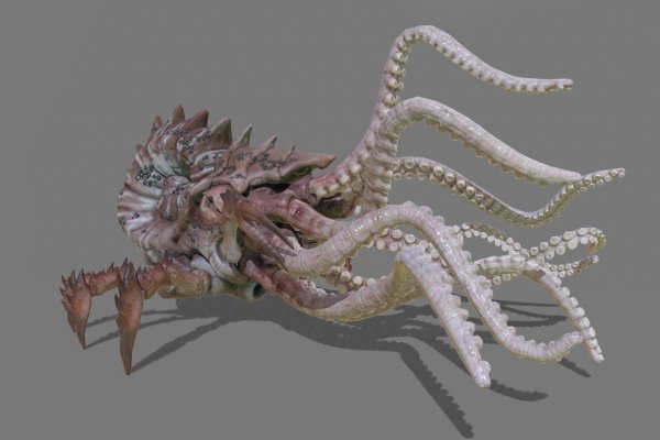 Kraken зеркало kraken dark link