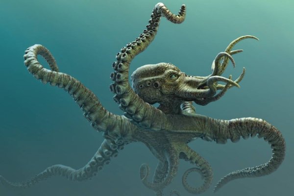 Настоящий сайт kraken