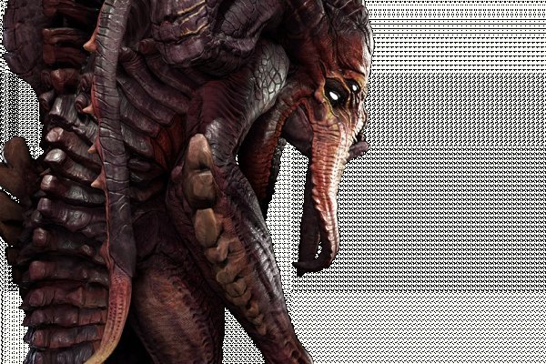 Solaris darkmarket